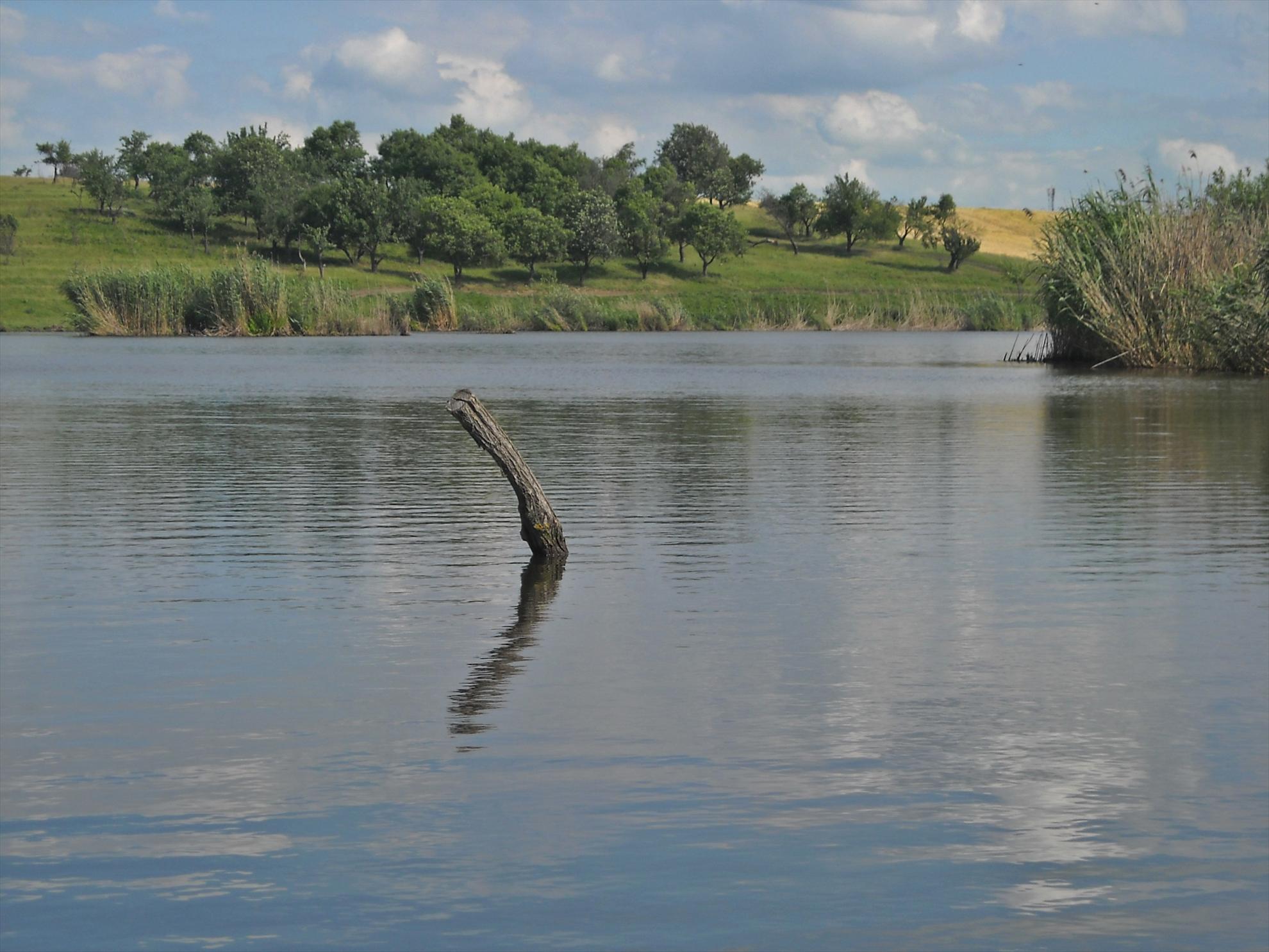 CN-2010-Chiroiu - dscn4258-21.jpg